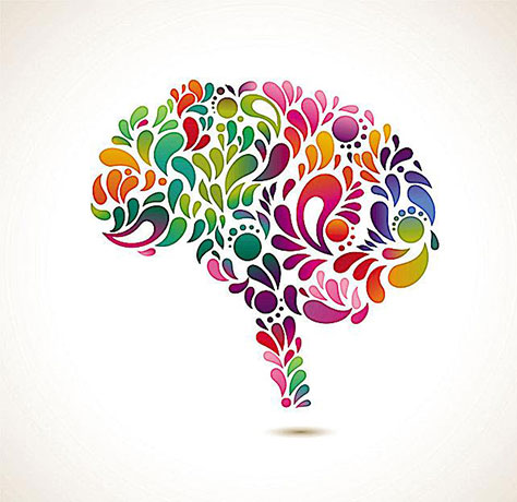 新资源食品原料