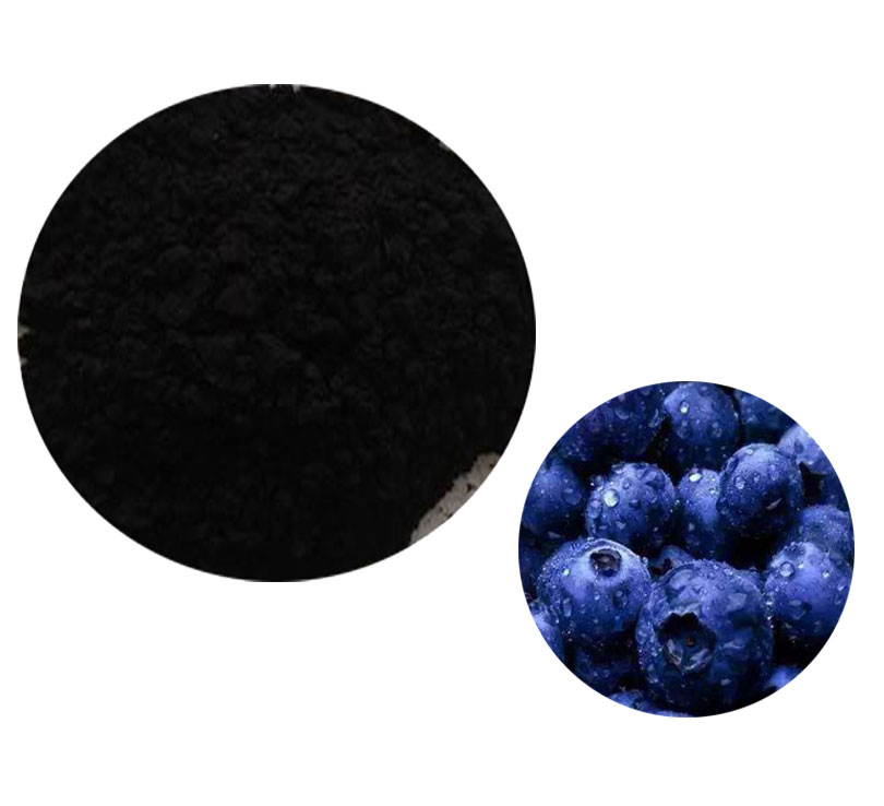 Bilberry Extract