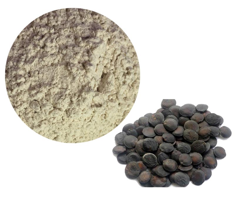 Griffonia Seed Extract