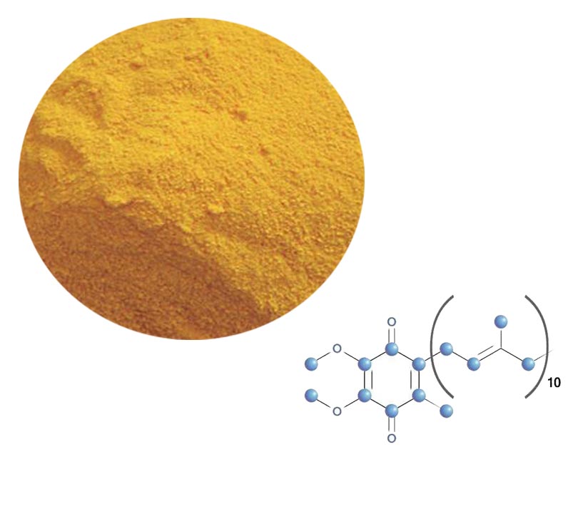 Coenzyme Q10