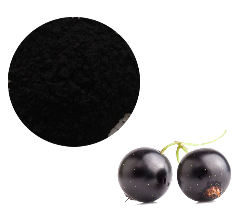 Black Currant Extract