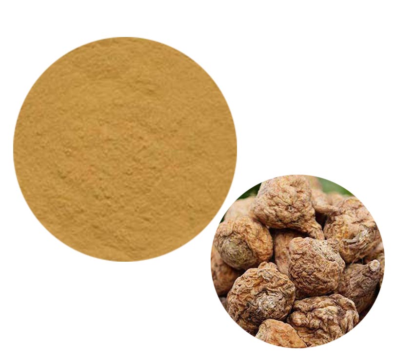 Maca Extract
