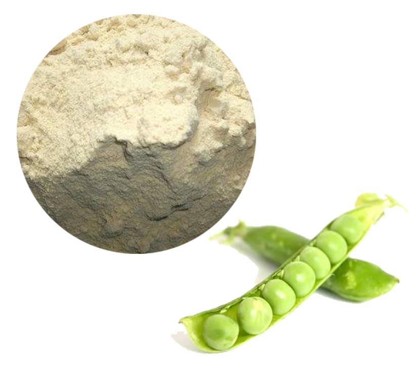 Pea Protein