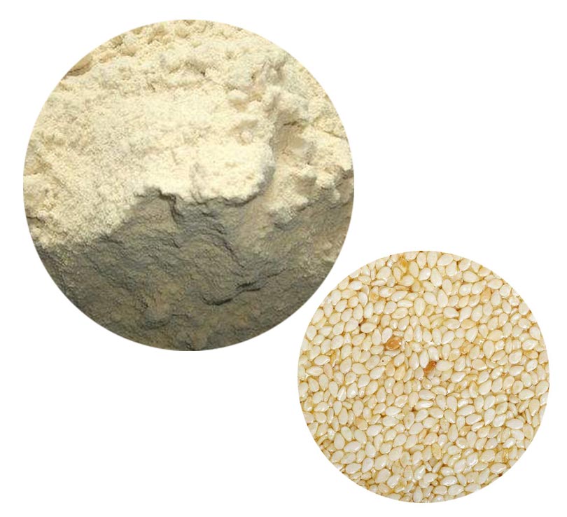 Sesame Protein