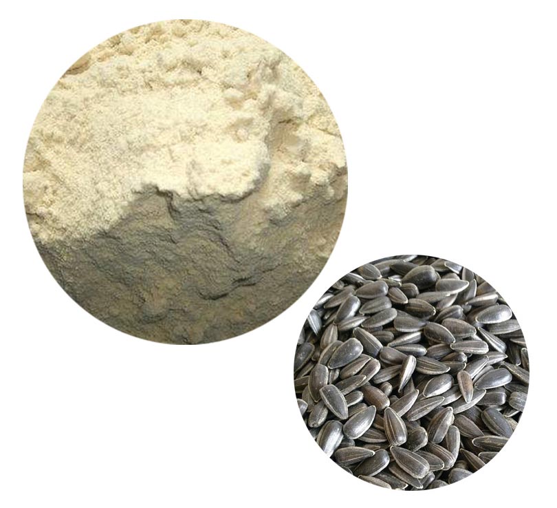 Sunflower Seeds Protein