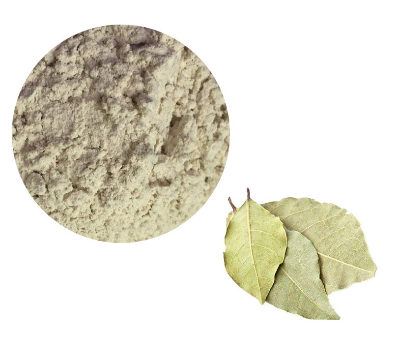 Bay Leaf Extract