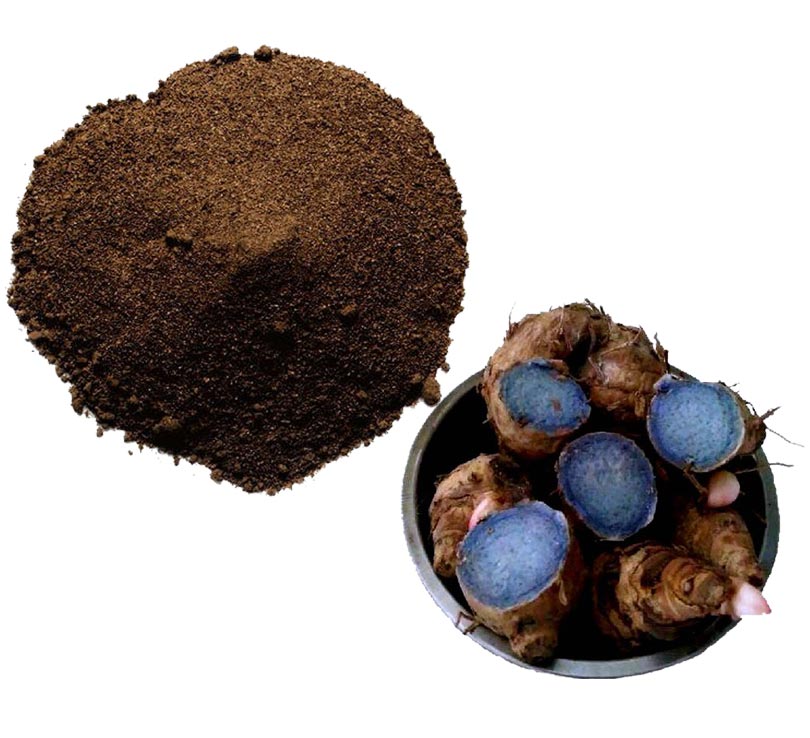 Thai Black Ginger Extract