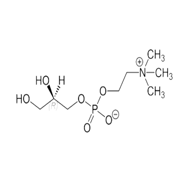 甘磷酸胆碱 α-GPC