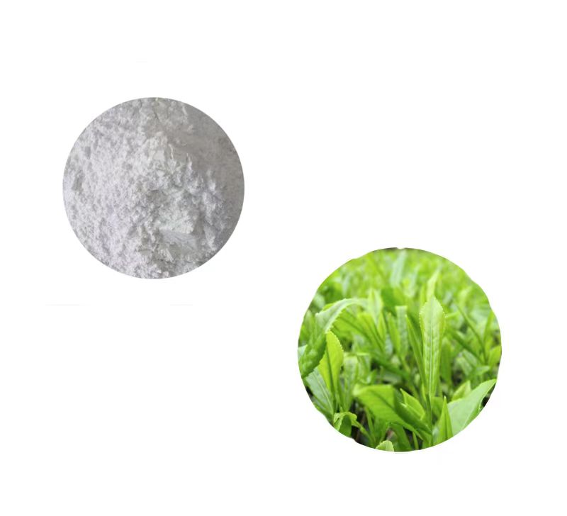 绿茶EGCG