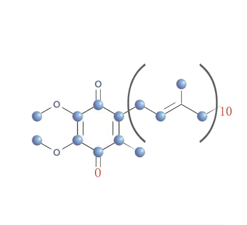 辅酶Q10