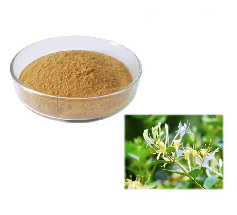 金银花提取物