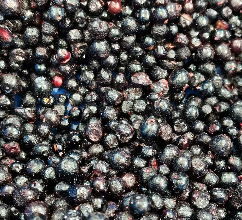 欧洲越橘提取物